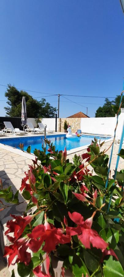 Apartment Elena Galovac  Dış mekan fotoğraf